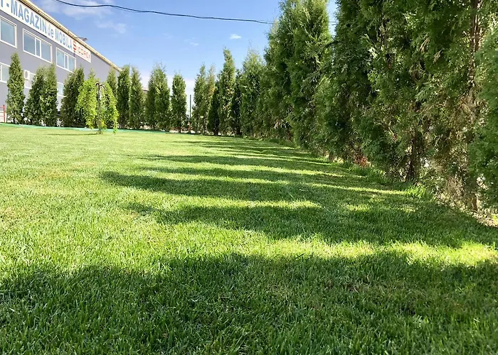 Nueva Park Guest house